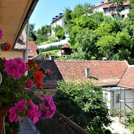 Eco * Brasov
